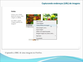 Capturando endereços (URL) de imagens Copiando a URL de uma imagem no Firefox. Firefox: clicar com o botão direito do mouse sobre a figura escolhida, escolher a opção “Copiar endereço da imagem” 
