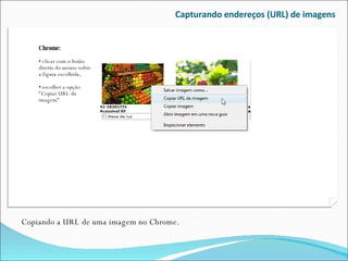 Capturando endereços (URL) de imagens Copiando a URL de uma imagem no Chrome. Chrome: clicar com o botão direito do mouse sobre a figura escolhida, escolher a opção “Copiar URL da imagem” 