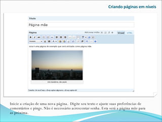 Criando páginas em níveis Inicie a criação de uma nova página.  Digite seu texto e ajuste suas preferências de comentários e pings. Não é necessário acrescentar senha. Esta será a página mãe para as próxima. 