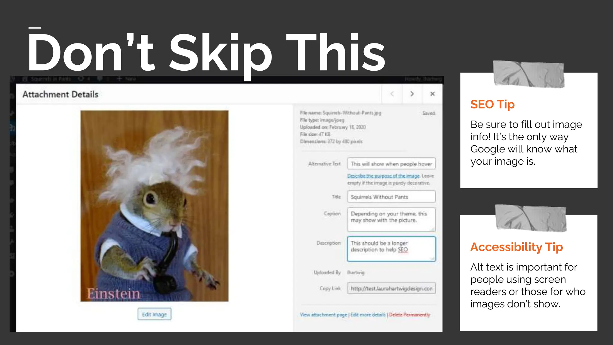 Accessibility Tip
Alt text is important for
people using screen
readers or those for who
images don’t show.
SEO Tip
Be sure to fill out image
info! It’s the only way
Google will know what
your image is.
Don’t Skip This
 