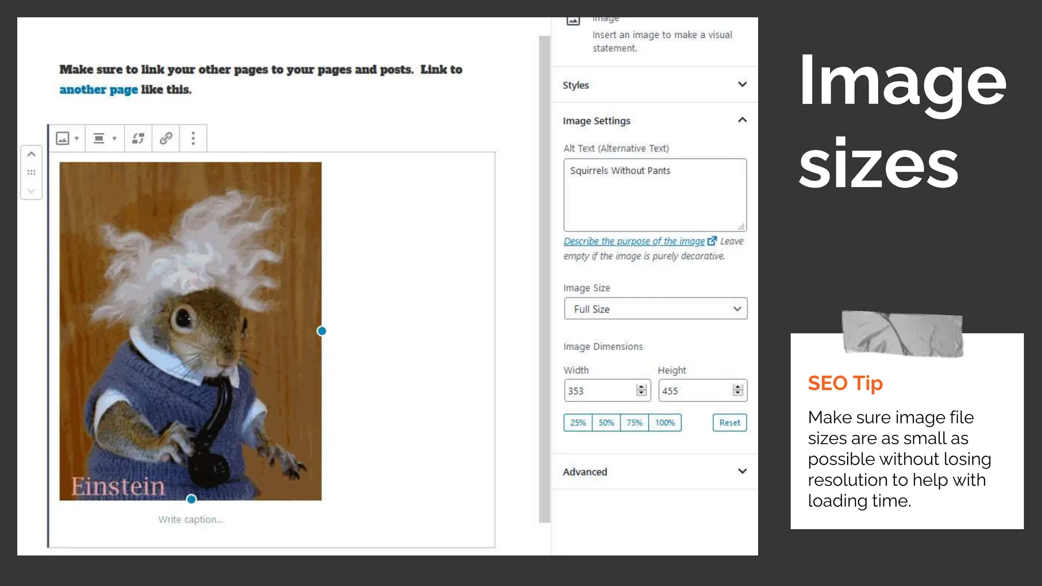 SEO Tip
Make sure image file
sizes are as small as
possible without losing
resolution to help with
loading time.
Image
sizes
 