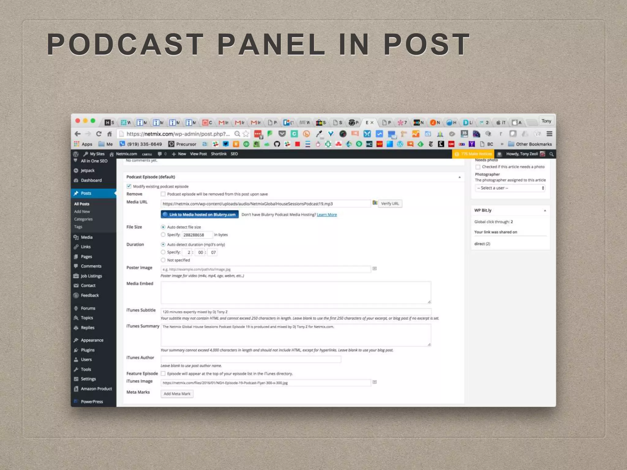 PODCAST PANEL IN POST
 