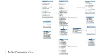 The WordPress database schema
 