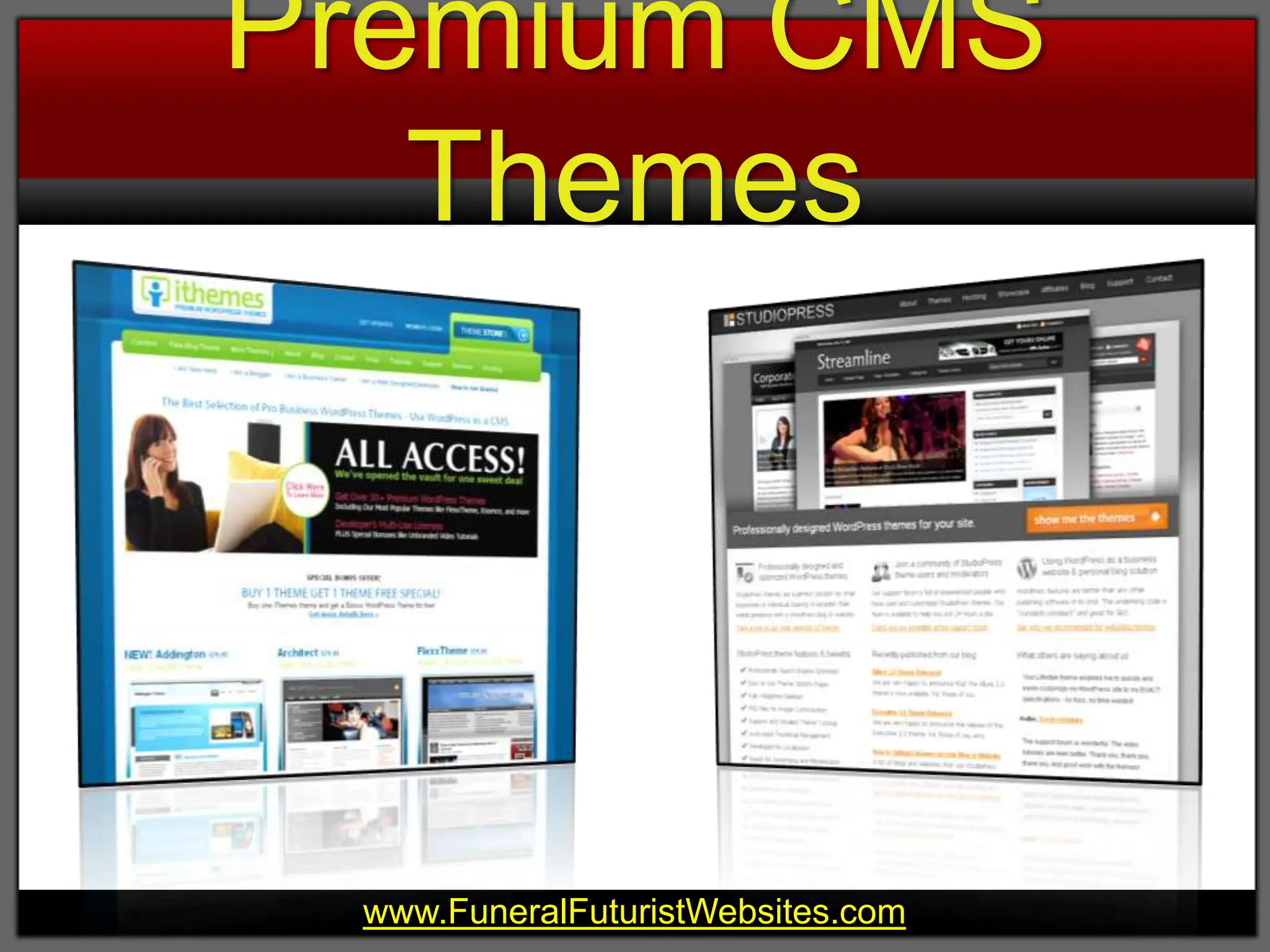 Premium CMS Themes