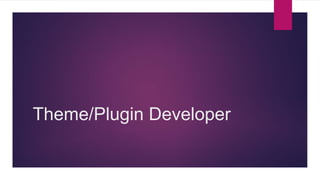Theme/Plugin Developer 
 