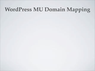 WordPress MU Domain Mapping
 