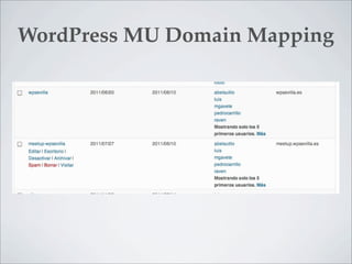 WordPress MU Domain Mapping
 