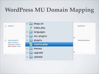 WordPress MU Domain Mapping
 