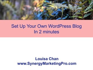 Set Up Your Own WordPress Blog
          In 2 minutes




         Louisa Chan
  www.SynergyMarketingPro.com
 