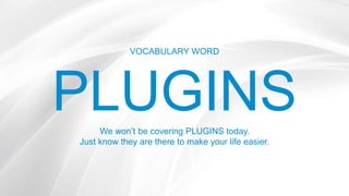 VOCABULARY WORD
PLUGINSWe won’t be covering PLUGINS today.
Just know they are there to make your life easier.
 