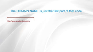 The DOMAIN NAME is just the first part of that code.
http://www.shutterstock.com/
 