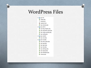WordPress developer 101 | PPTX