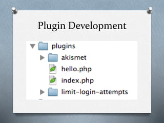 WordPress developer 101 | PPTX