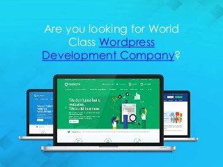 Are you looking for World
Class Wordpress
Development Company?
 