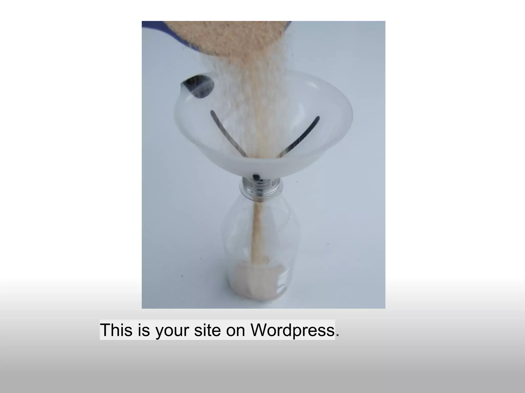 This is your site on Wordpress.
 