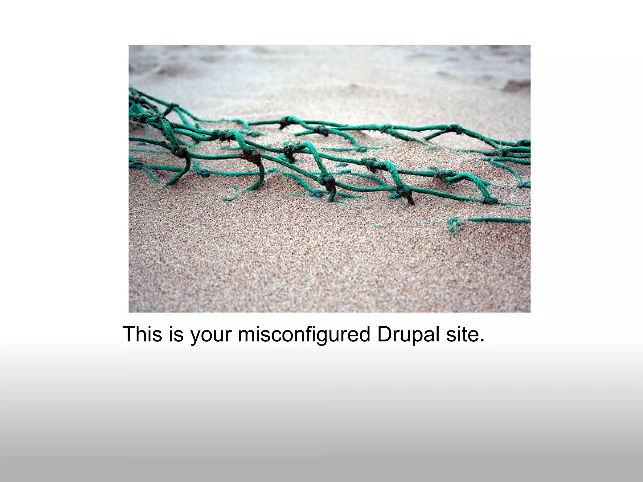 This is your misconfigured Drupal site.
 
