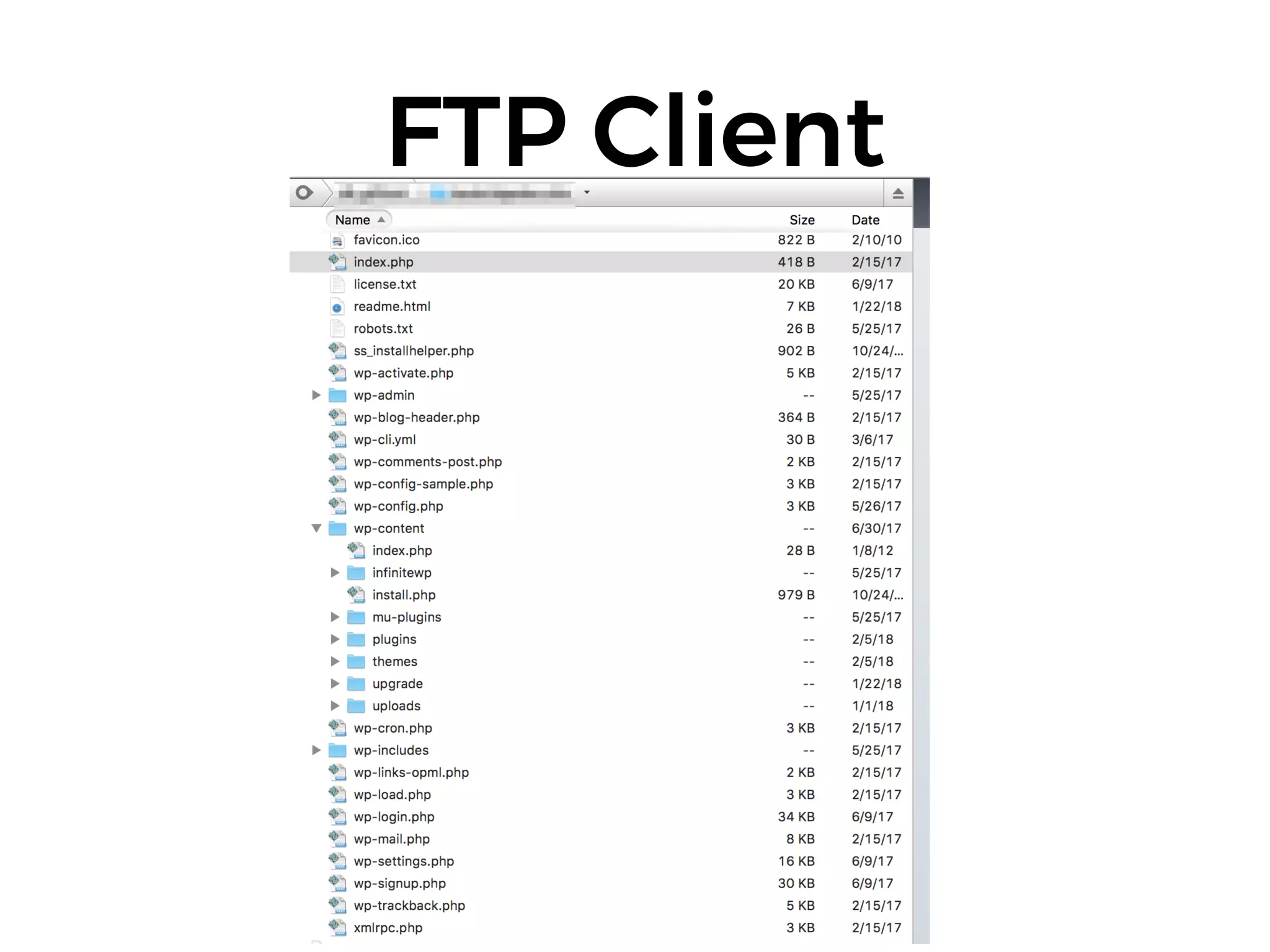 FTP Client
 