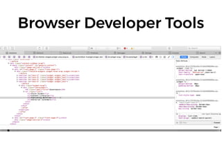 Browser Developer Tools
 