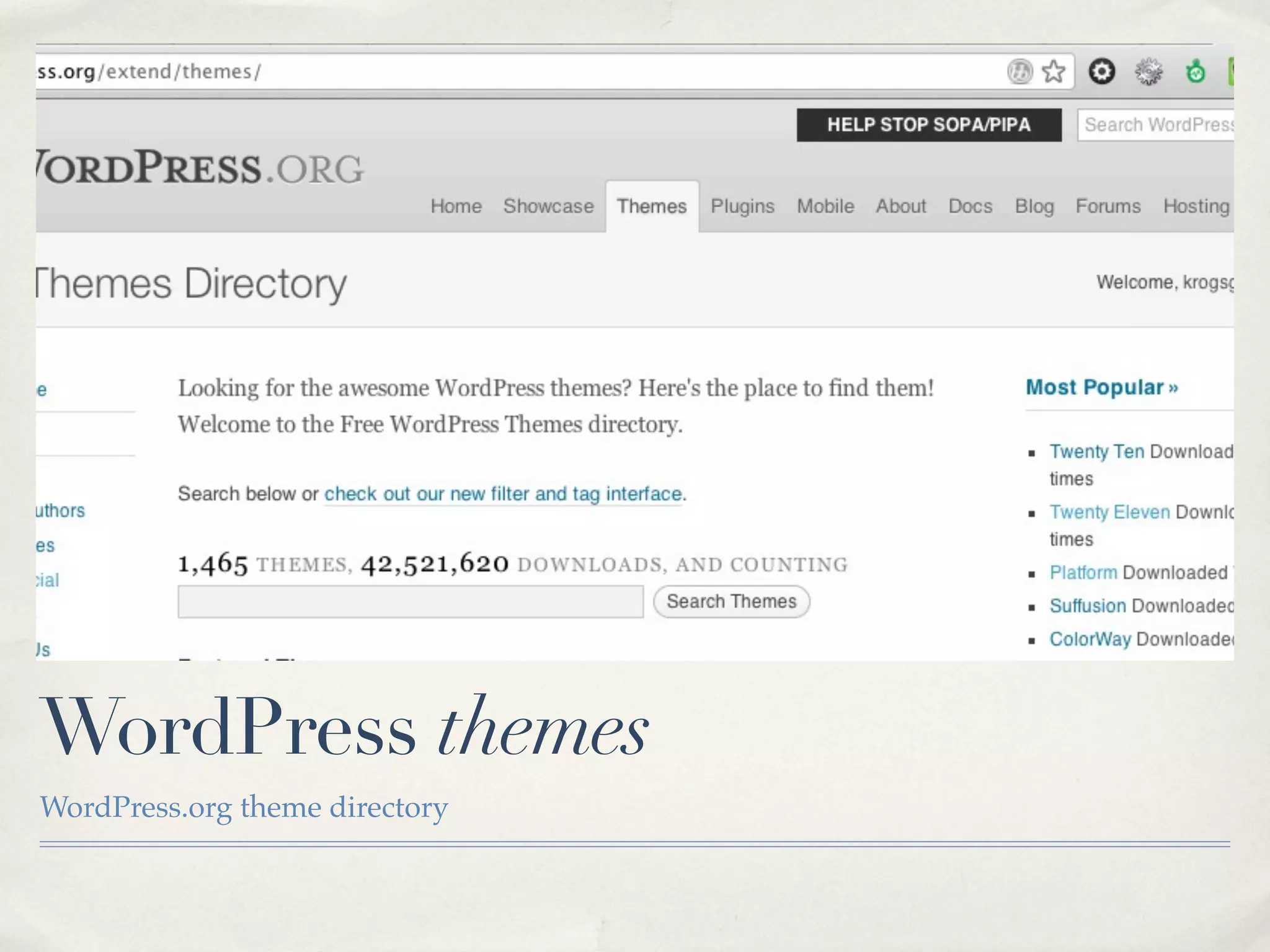 WordPress themes
WordPress.org theme directory
 
