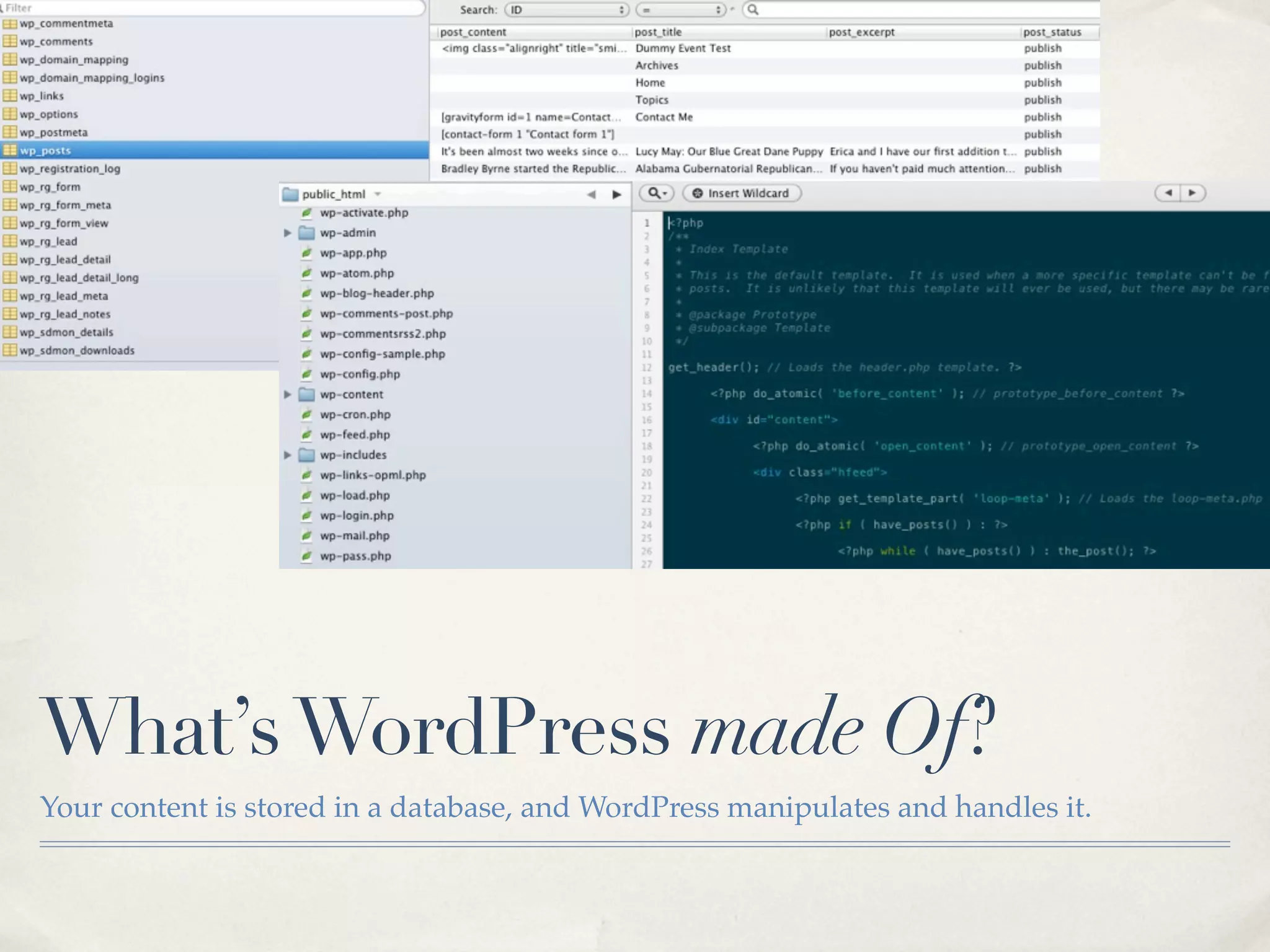 What’s WordPress made Of?
Your content is stored in a database, and WordPress manipulates and handles it.
 