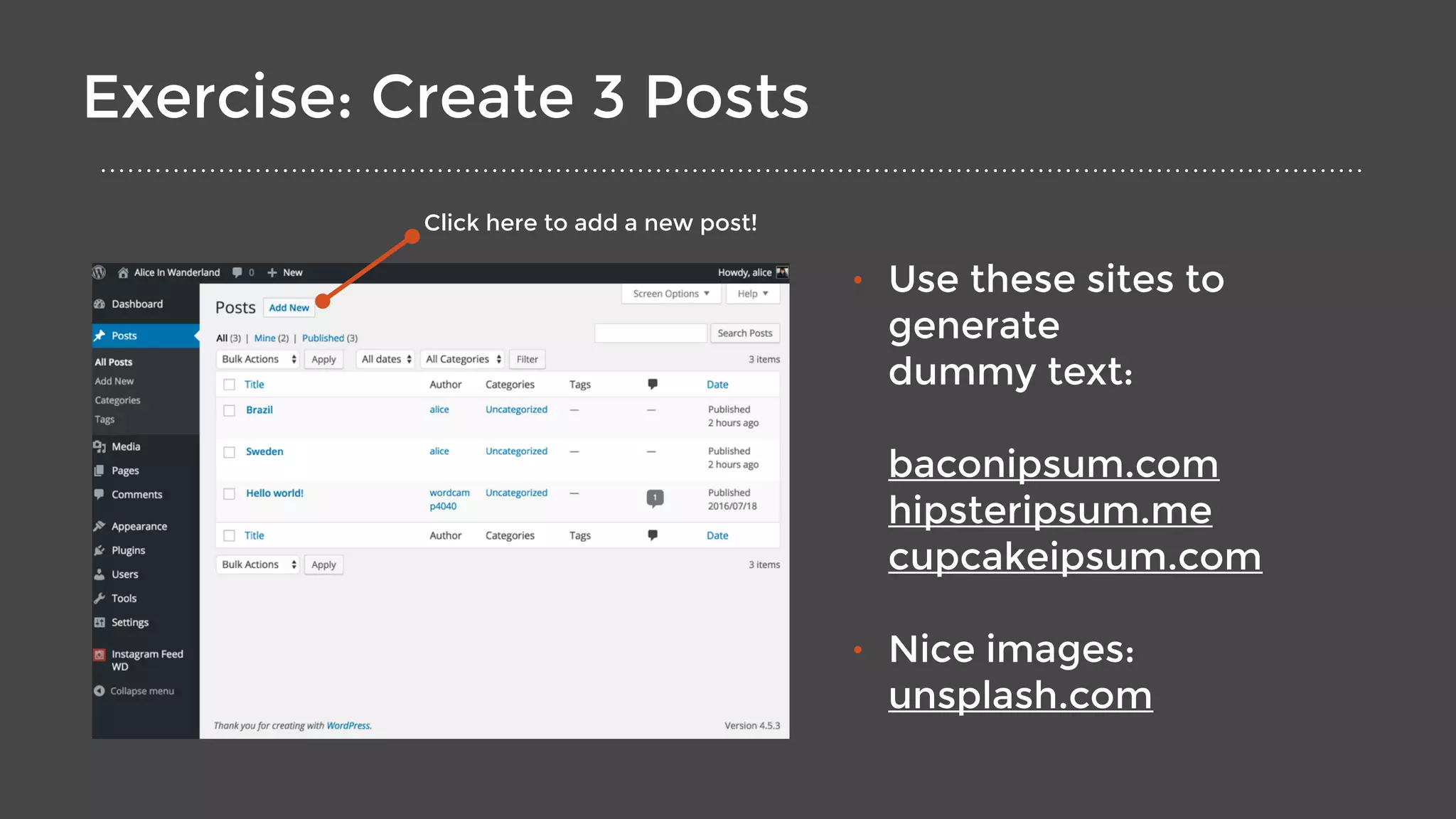Exercise: Create 3 Posts
• Use these sites to
generate 
dummy text: 
 
baconipsum.com 
hipsteripsum.me 
cupcakeipsum.com 
• Nice images: 
unsplash.com
Click here to add a new post!
 