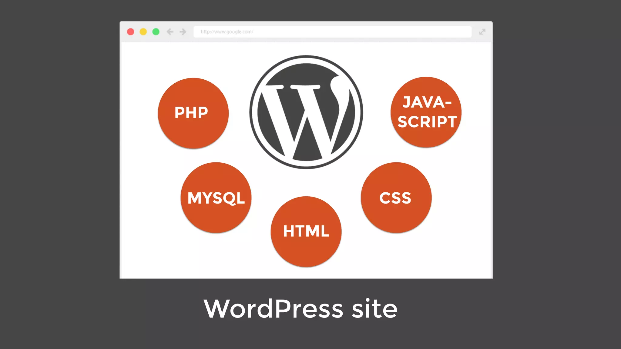 JAVA-
SCRIPT
PHP
MYSQL
HTML
CSS
WordPress site
 