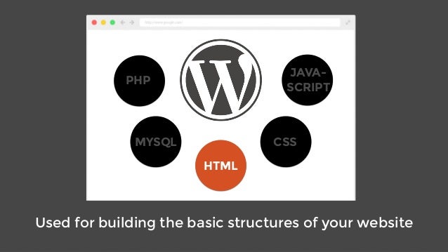 Image result for Wordpress Structures :