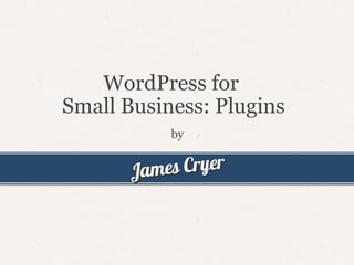 WordPress for  Small Business: Plugins by 