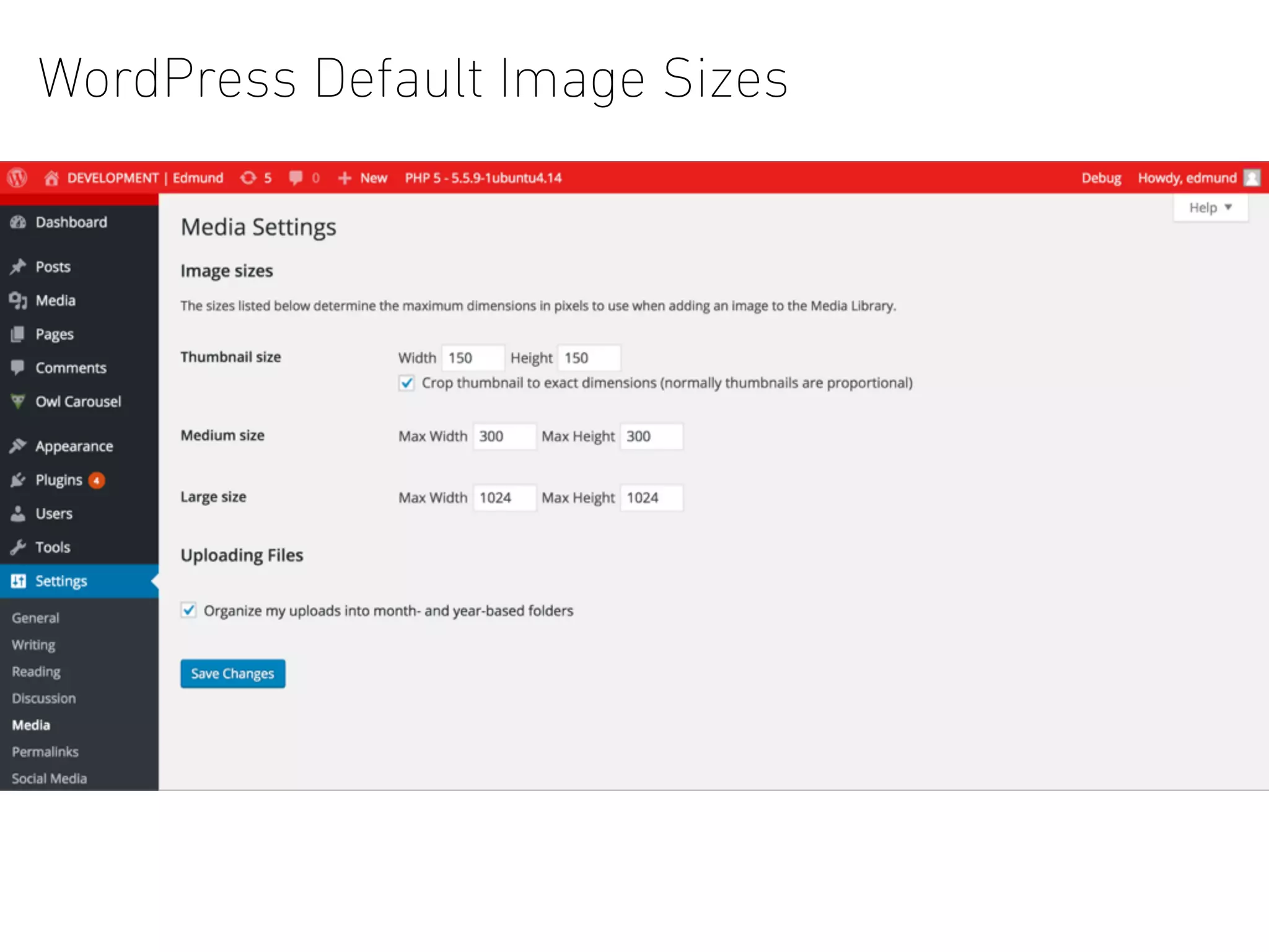 WordPress Default Image Sizes
• First Level
• Second Level
• Third
Level
• First Level
• Second Level
• Third
Level
 