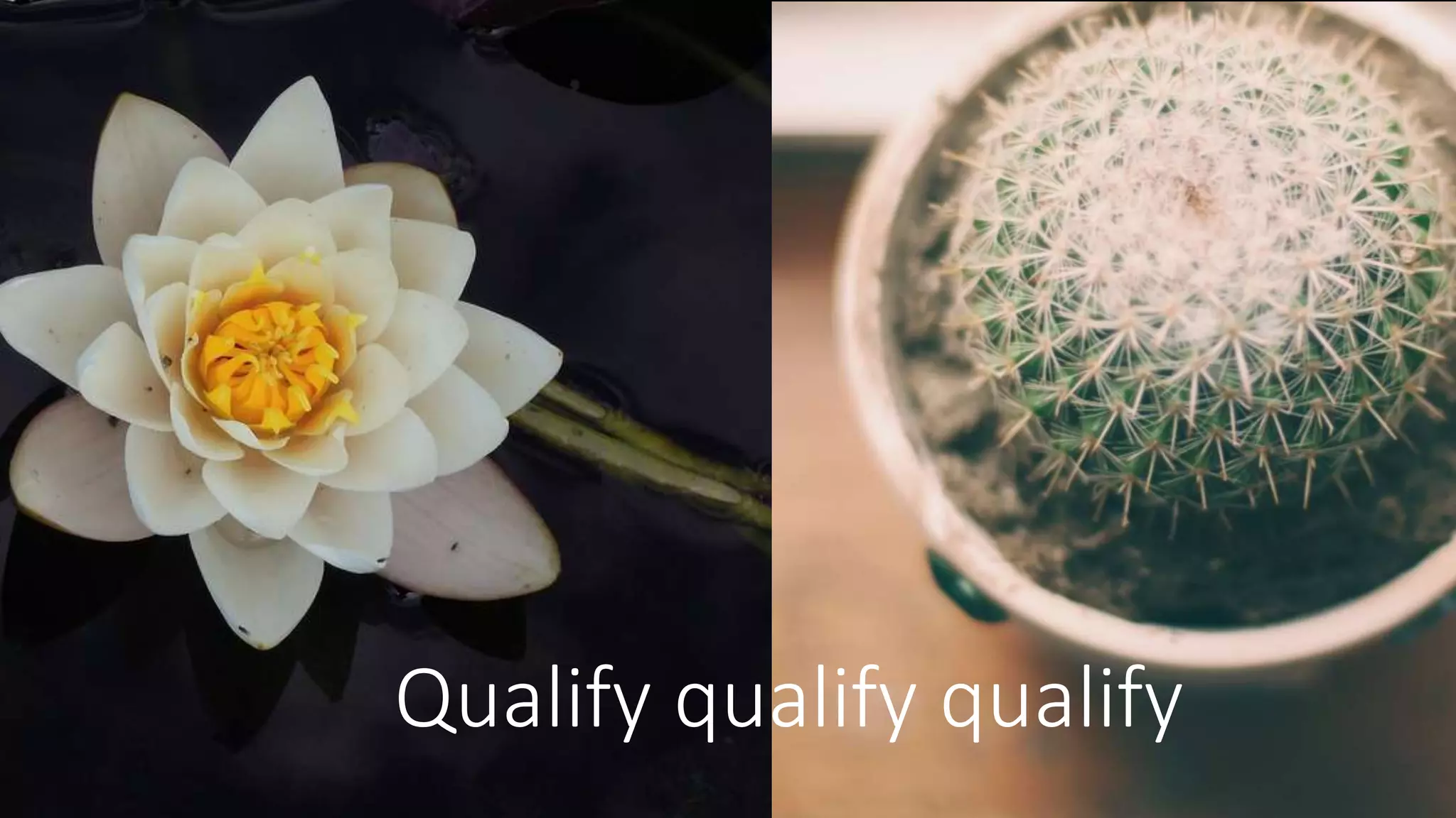 Qualify qualify qualify
 