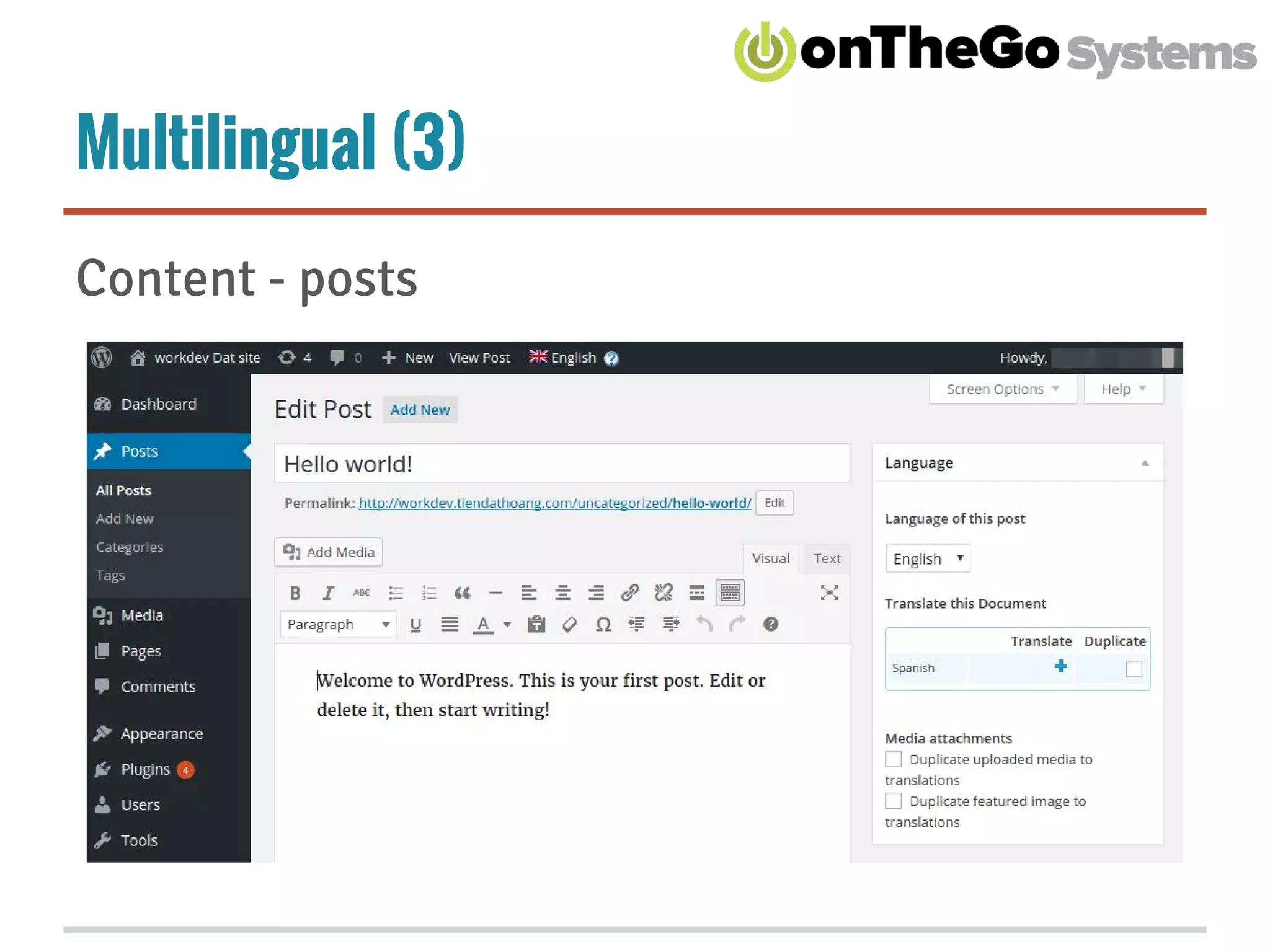 Multilingual (3)
Content - posts
 