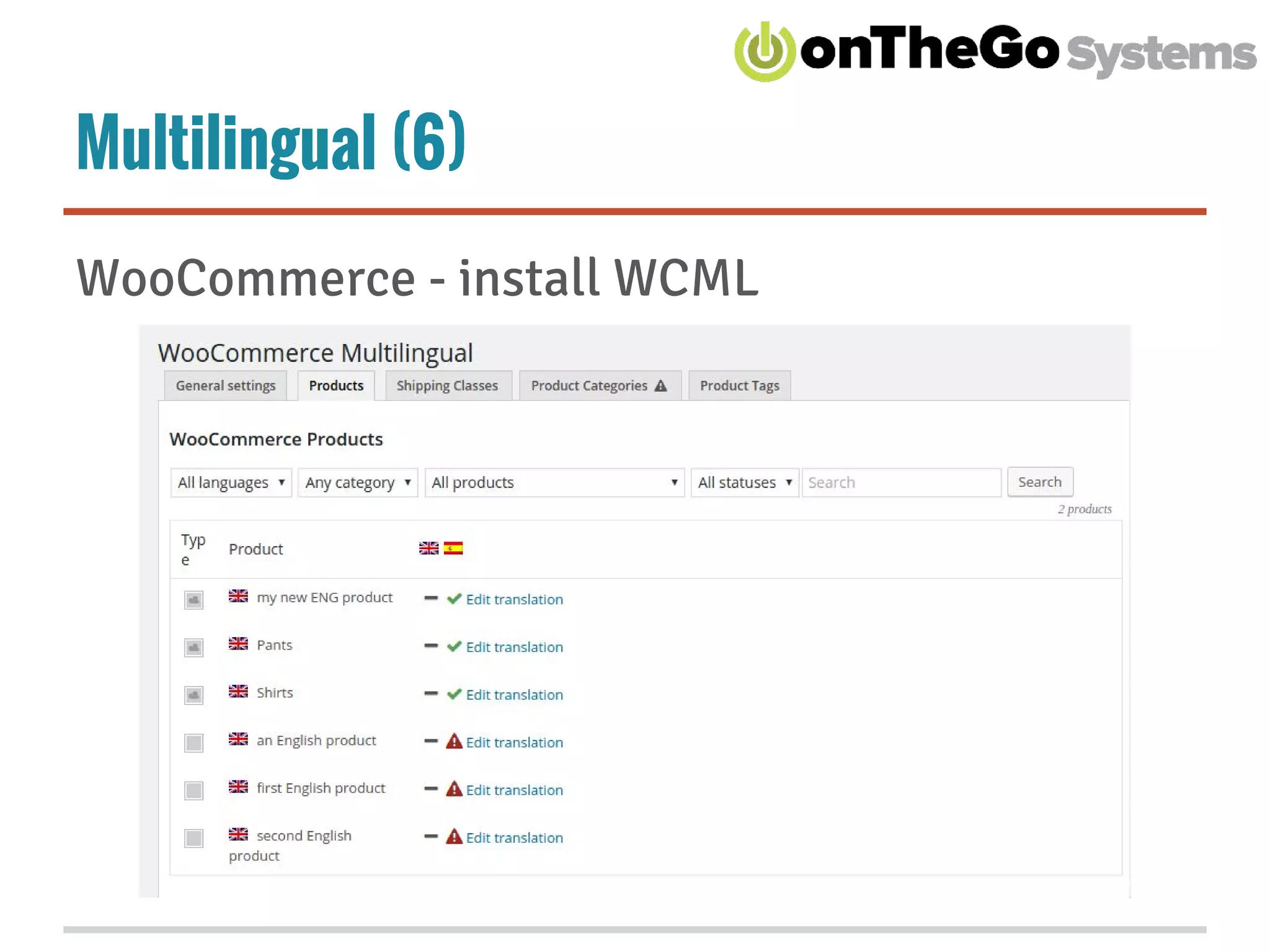 Multilingual (6)
WooCommerce - install WCML
 