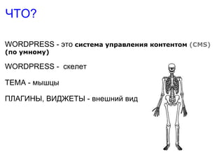 ЧТО? WORDPRESS - это  система управления контентом  (CMS) (по умному) WORDPRESS -  скелет ТЕМА - мышцы ПЛАГИНЫ, ВИДЖЕТЫ - внешний вид 