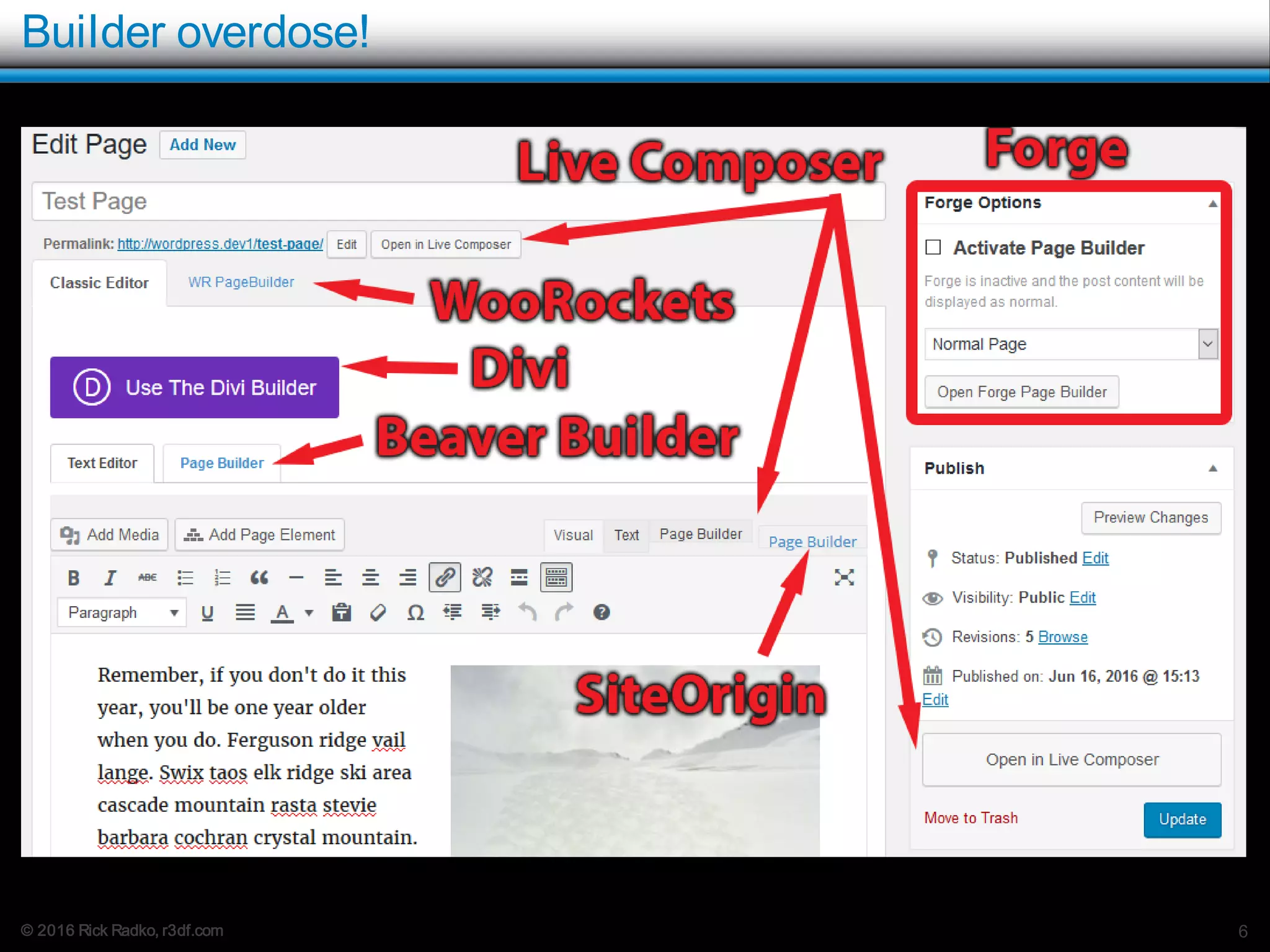 © 2016 Rick Radko, r3df.com
Builder overdose!
6
 