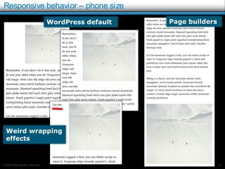 © 2016 Rick Radko, r3df.com
Responsive behavior – phone size
18
Page buildersWordPress default
Weird wrapping
effects
 