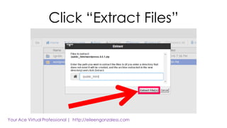 Click “Extract Files”
 