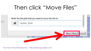 Then click “Move Files”
 