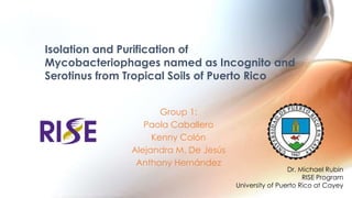 Group 1:
Paola Caballero
Kenny Colón
Alejandra M. De Jesús
Anthony Hernández
Isolation and Purification of
Mycobacteriophages named as Incognito and
Serotinus from Tropical Soils of Puerto Rico
Dr. Michael Rubin
RISE Program
University of Puerto Rico at Cayey
 