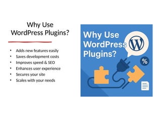 Unlocking WordPress Plugins: The Ultimate Starter Guide | PPTX