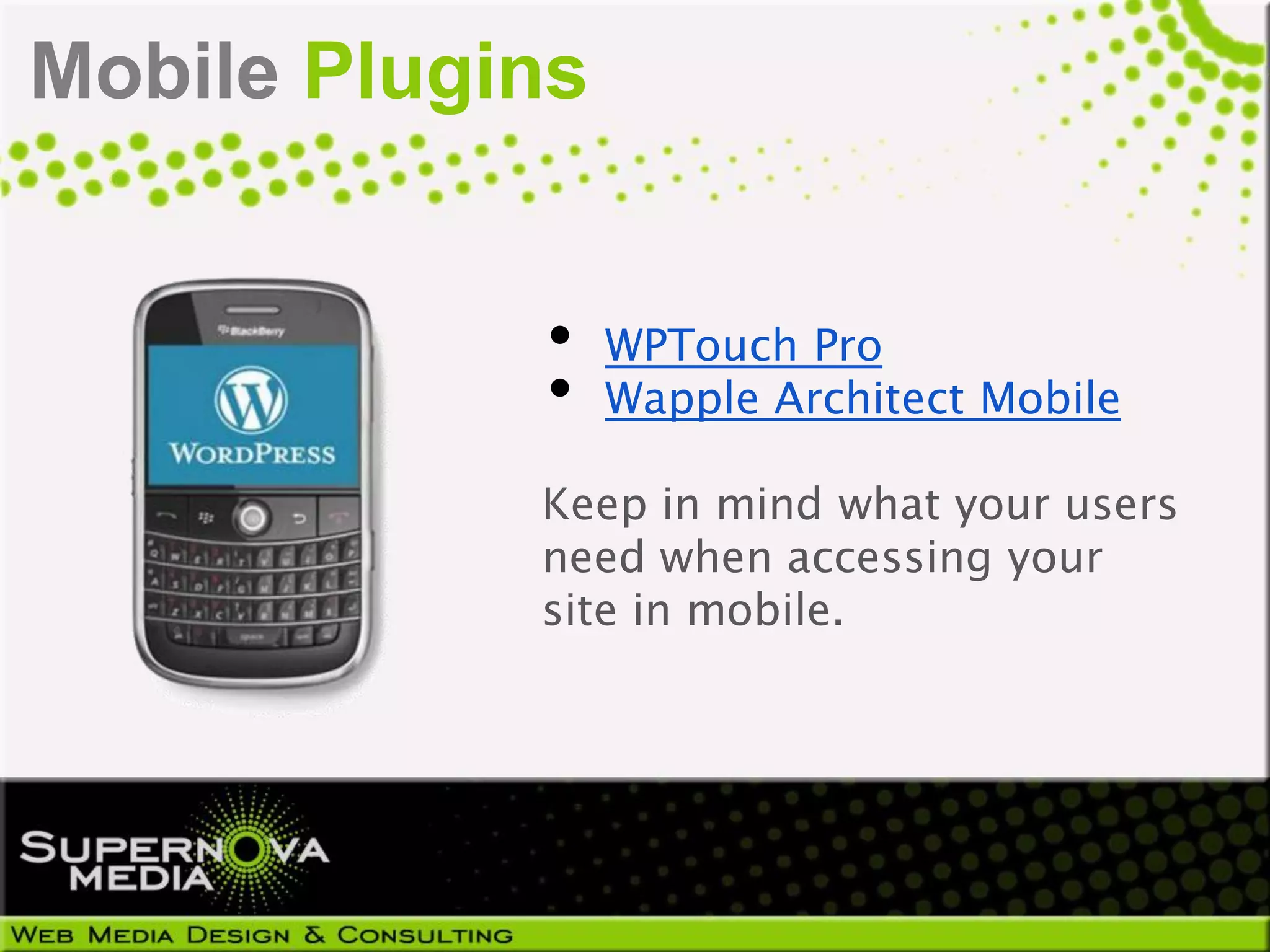 Mobile Plugins


            •    WPTouch Pro
            •    Wapple Architect Mobile

            Keep in mind what your users
            need when accessing your
            site in mobile.
 