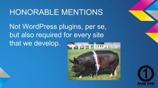 HONORABLE MENTIONS 
Not WordPress plugins, per se, 
but also required for every site 
that we develop. 
 