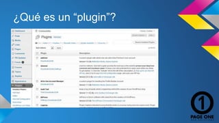 ¿Qué es un “plugin”? 
 