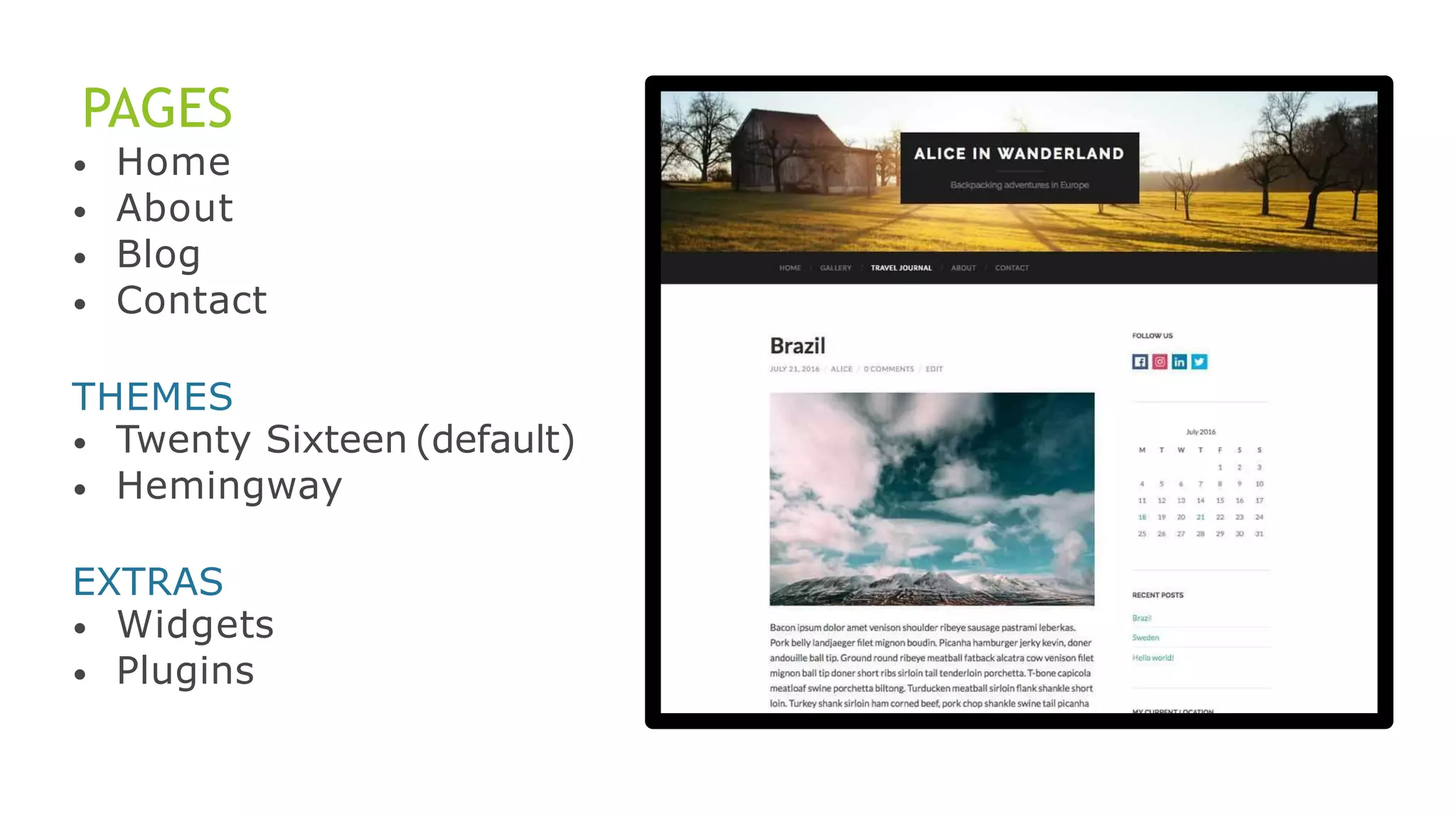 PAGES
•
•
•
•
Home
About
Blog
Contact
THEMES
•
•
Twenty Sixteen (default)
Hemingway
EXTRAS
•
•
Widgets
Plugins
 