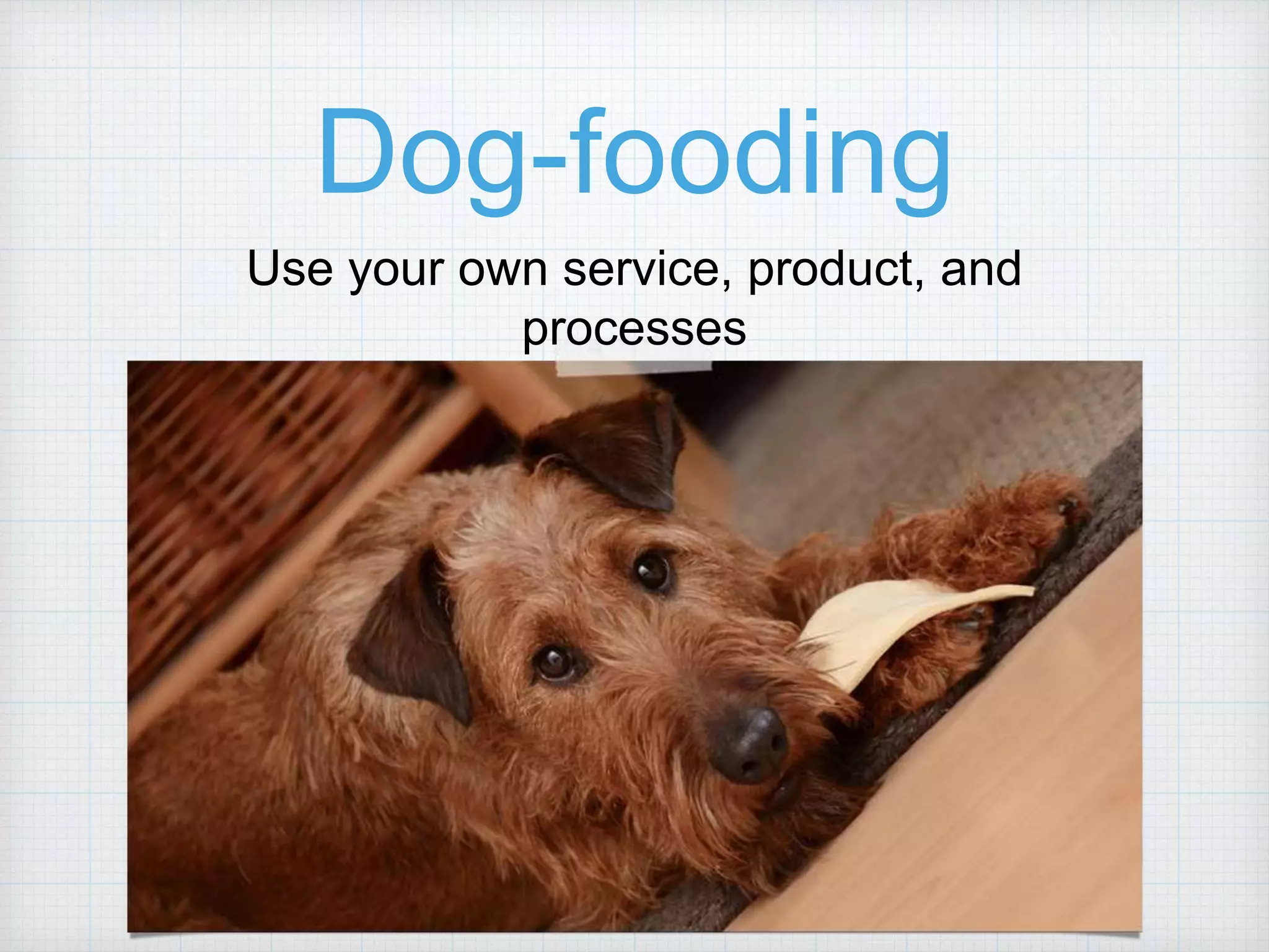 Dog-fooding Use your own service, product, and processes 