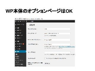 WP本体のオプションページはOK

 
