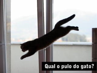 Qual o pulo do gato?
 