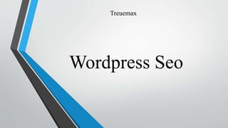 Wordpress Seo
Treuemax
 