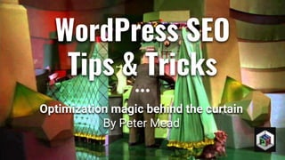 WordPress SEO
Tips & Tricks
Optimization magic behind the curtain
By Peter Mead
 