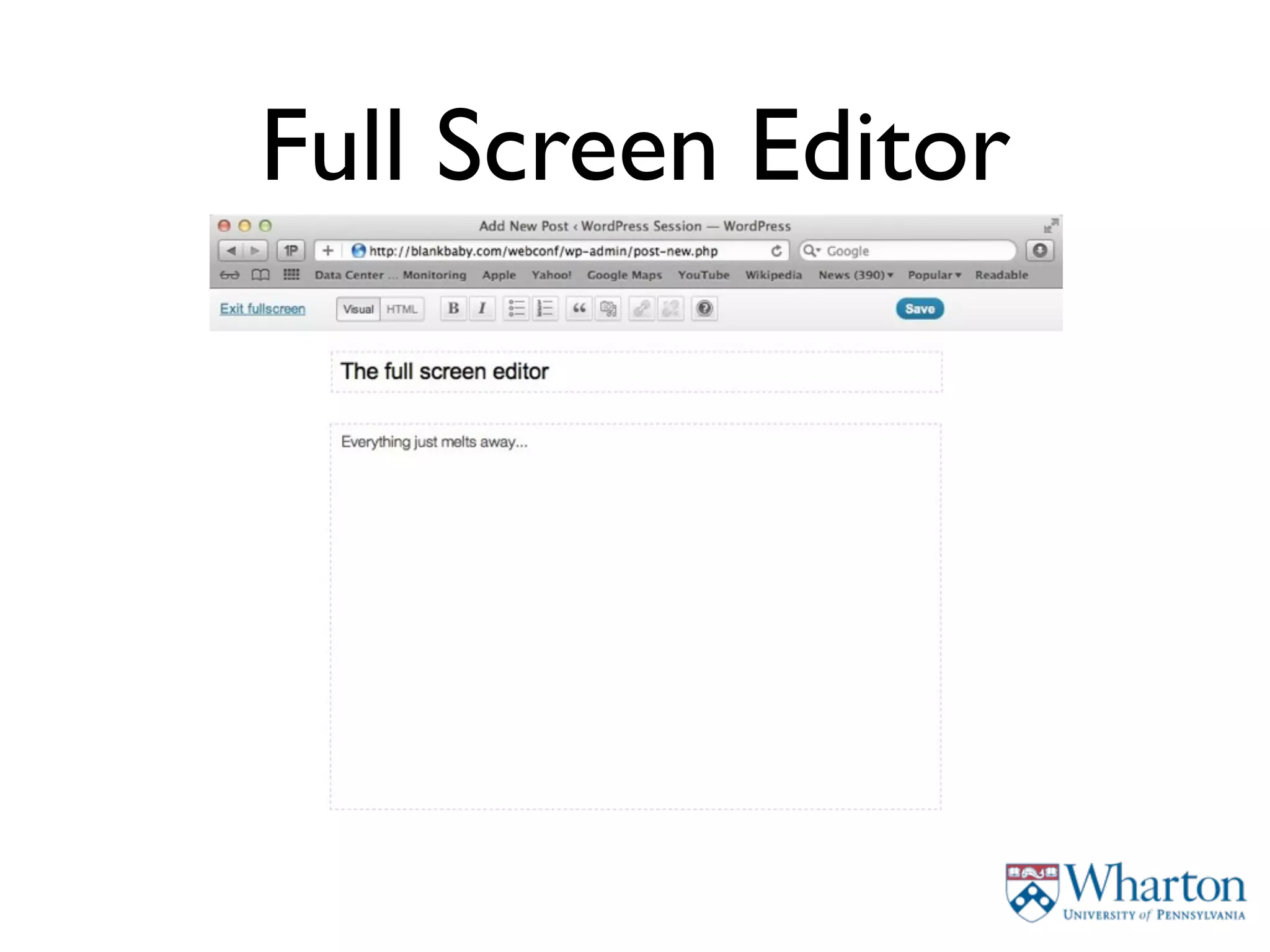 Full Screen Editor
 