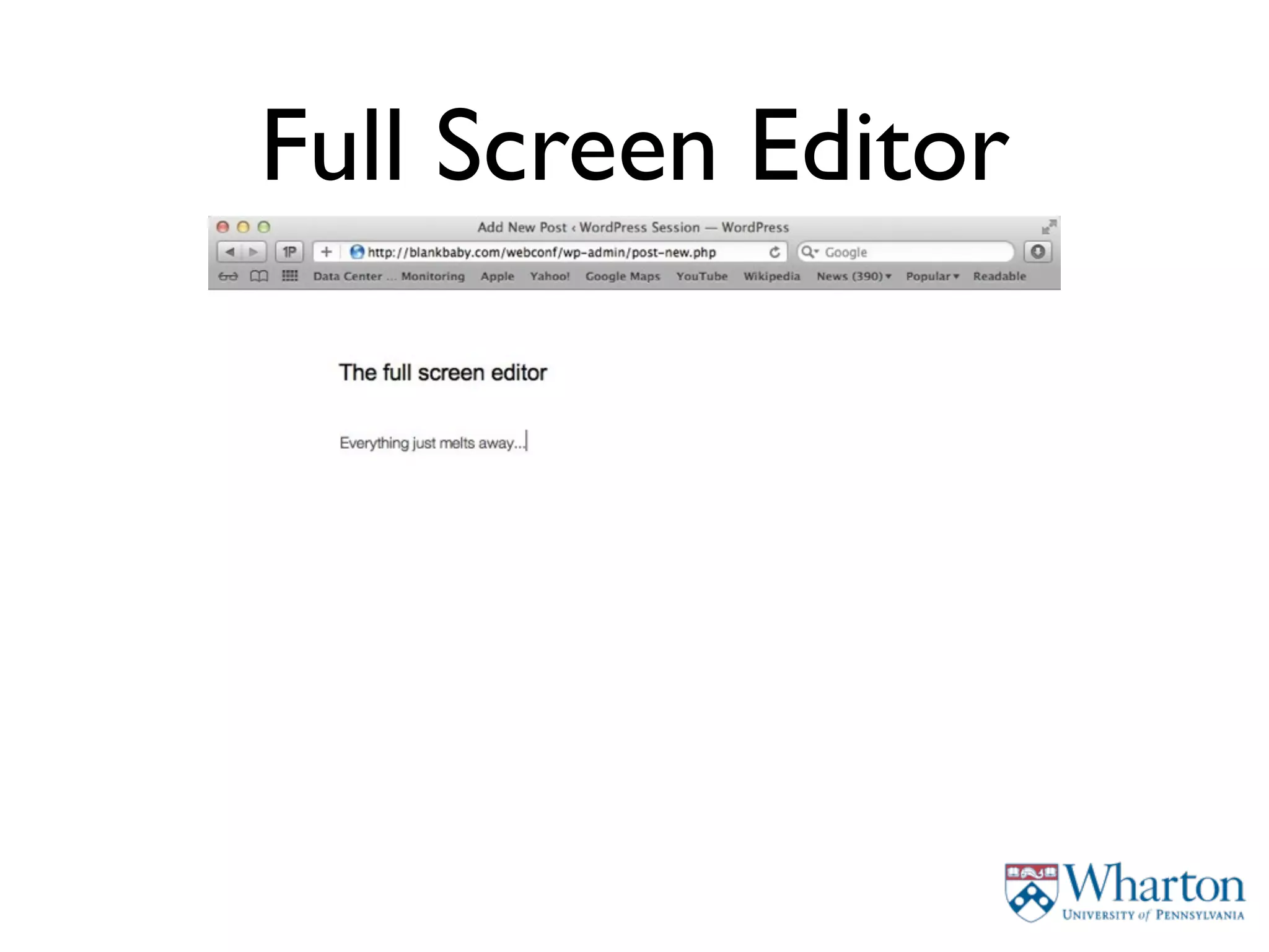 Full Screen Editor
 